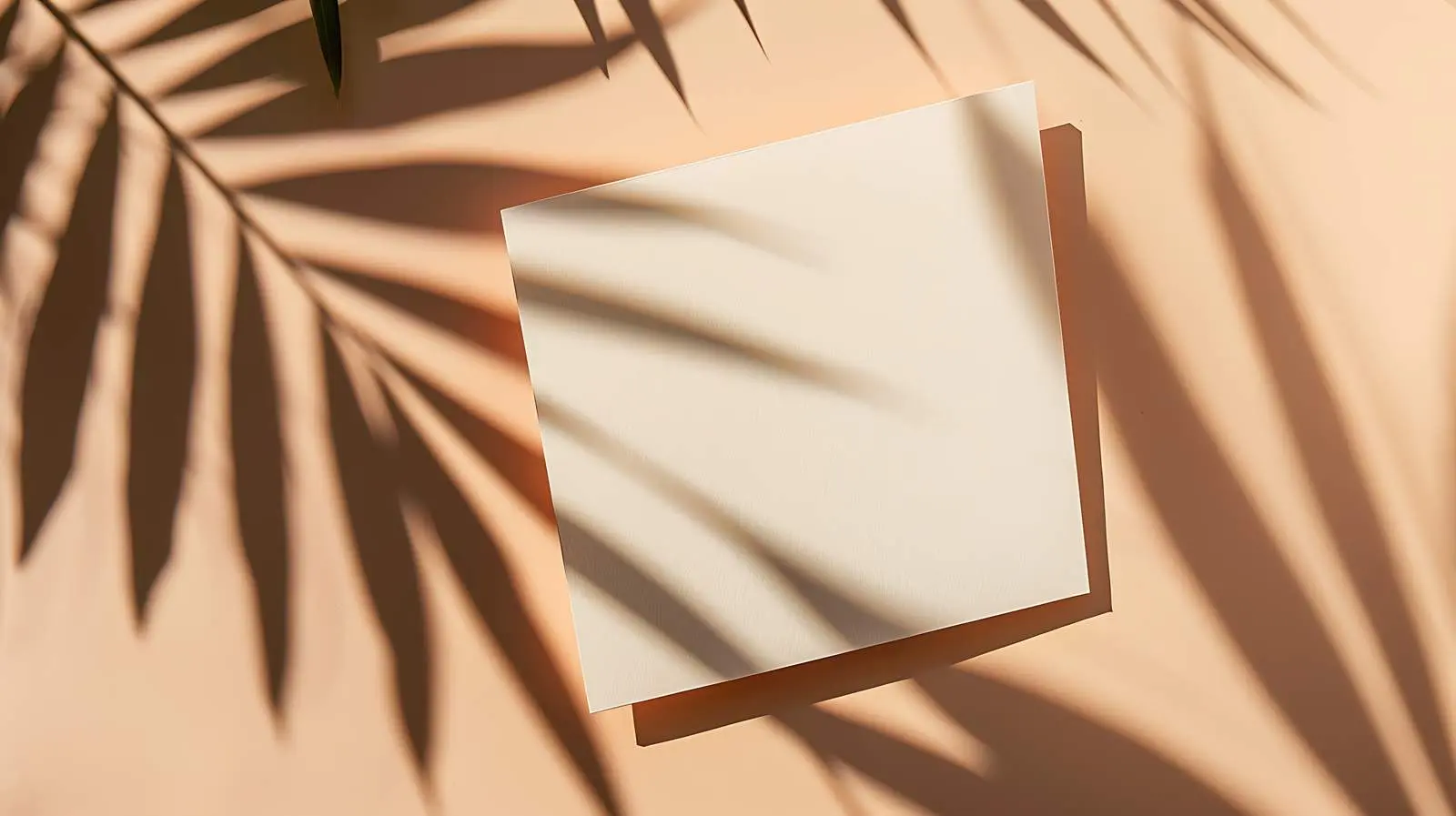 Blank Invitation Card with Sunlight Shadow — free download from Dotvec