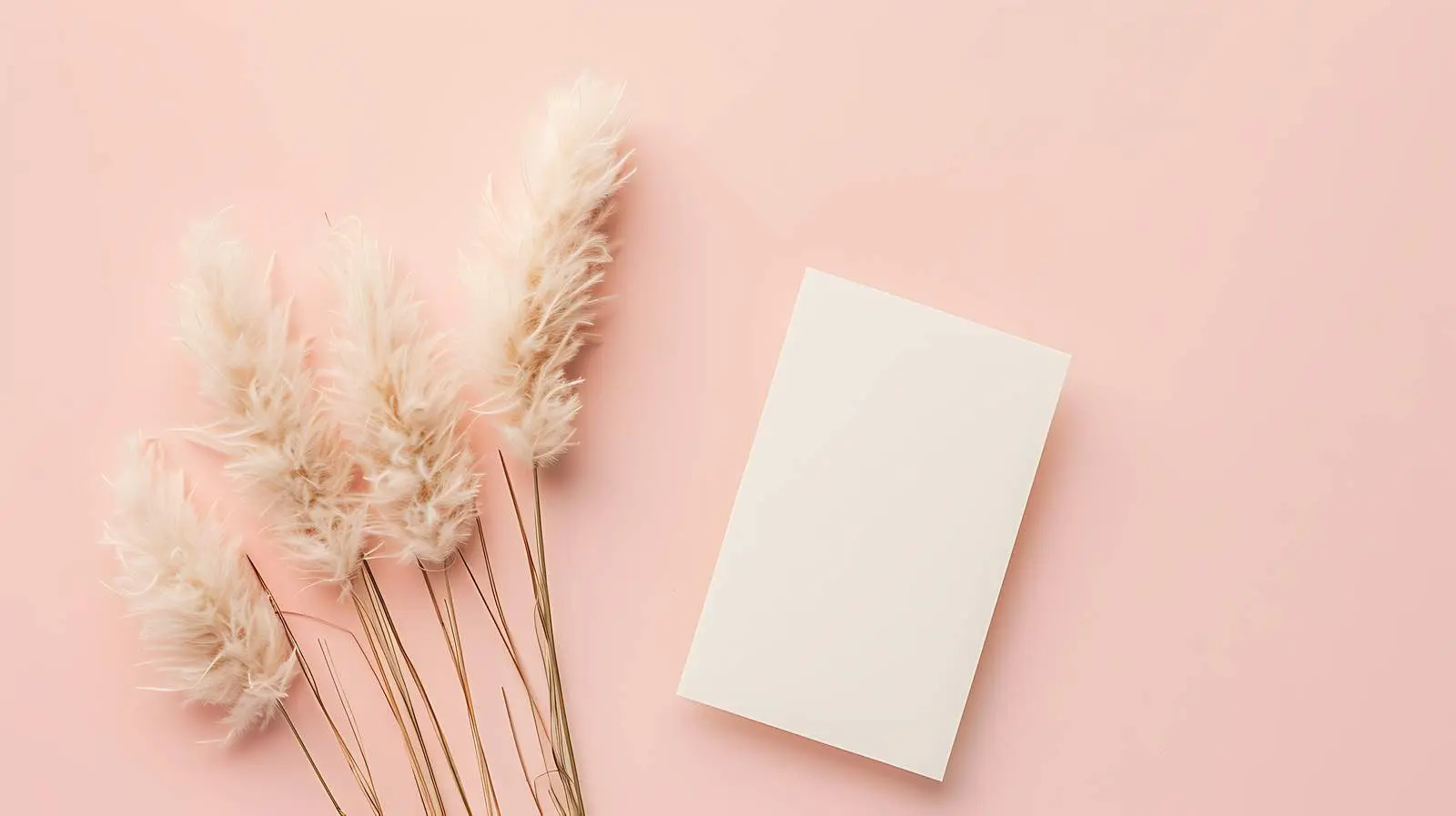 Blank Invitation Cards with Bunny Tail and Grass — free download from Dotvec