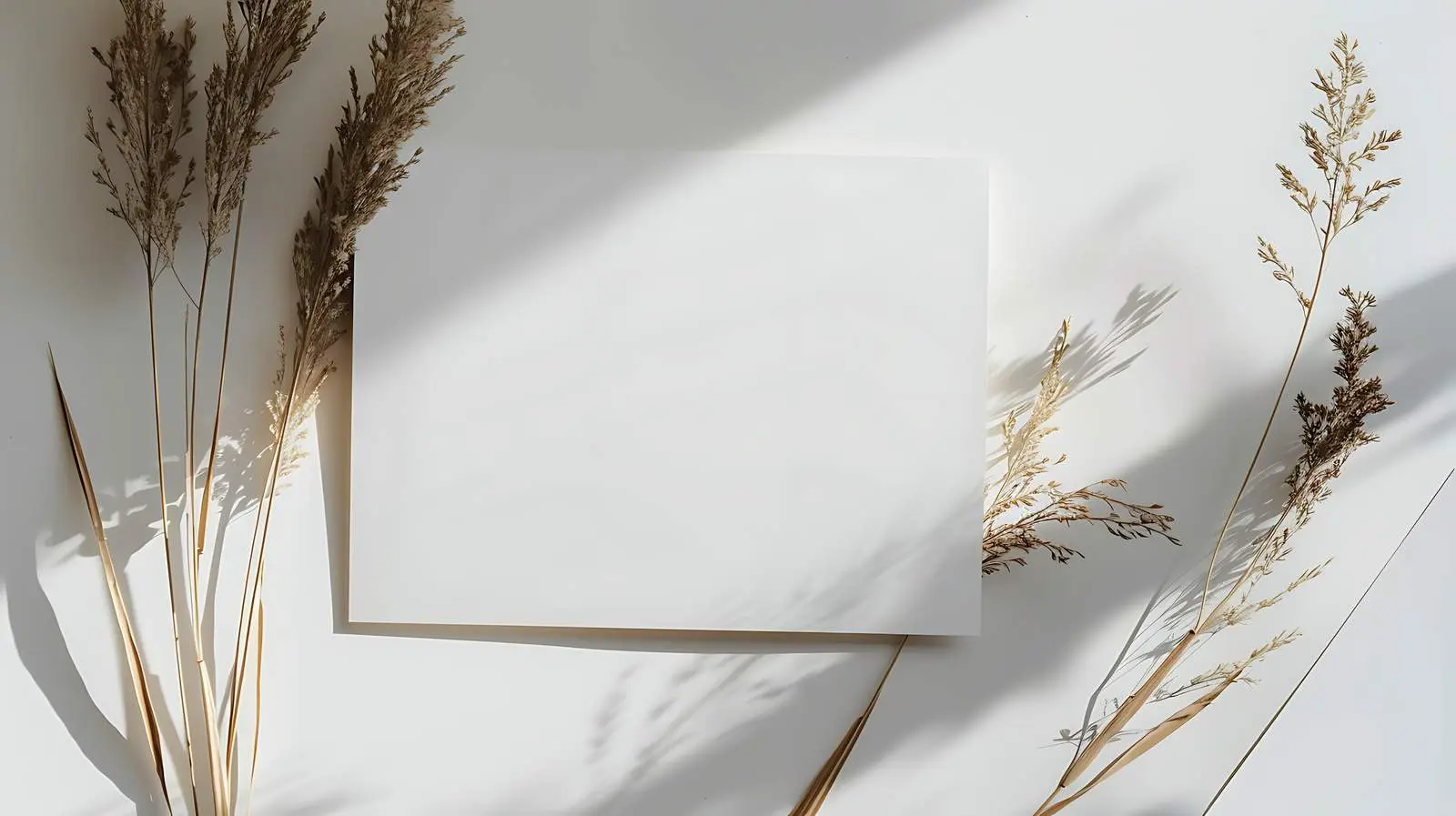 Blank Invitation Cards with Dried Grass Background — free download from Dotvec