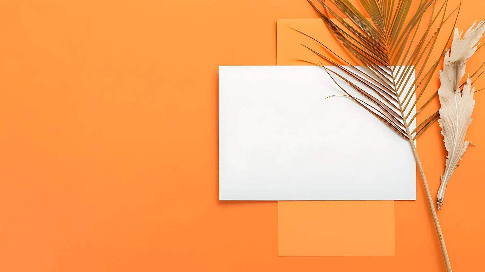Blank Tropical Invitation Card with Copy Space — free download from Dotvec