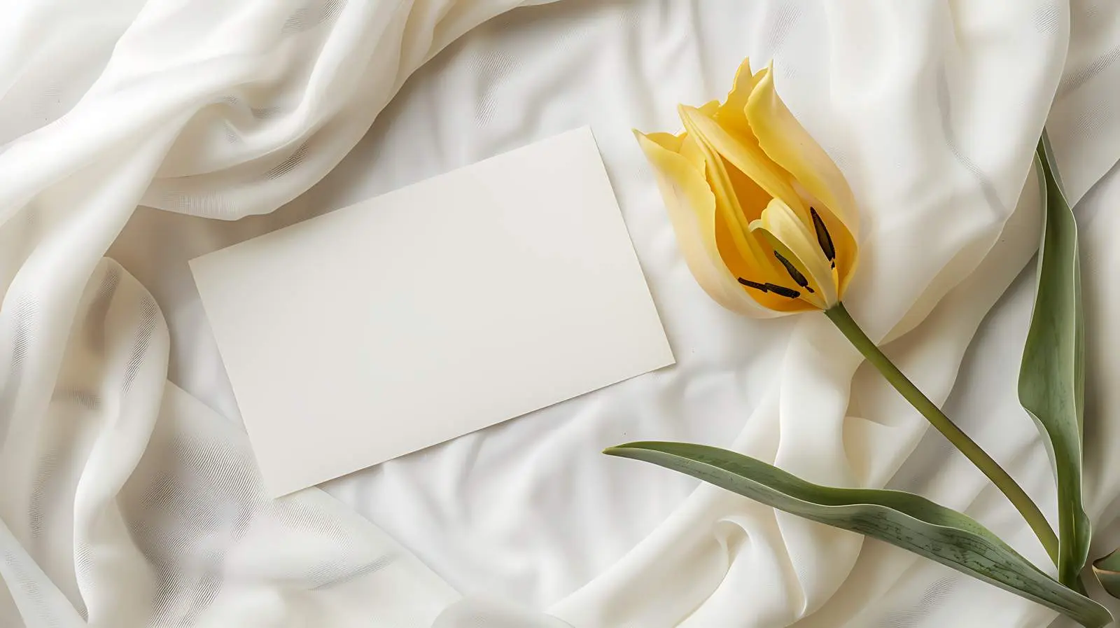 Blank Invitation Cards with Copy Space Flat Lay – free paper card image from Dotvec