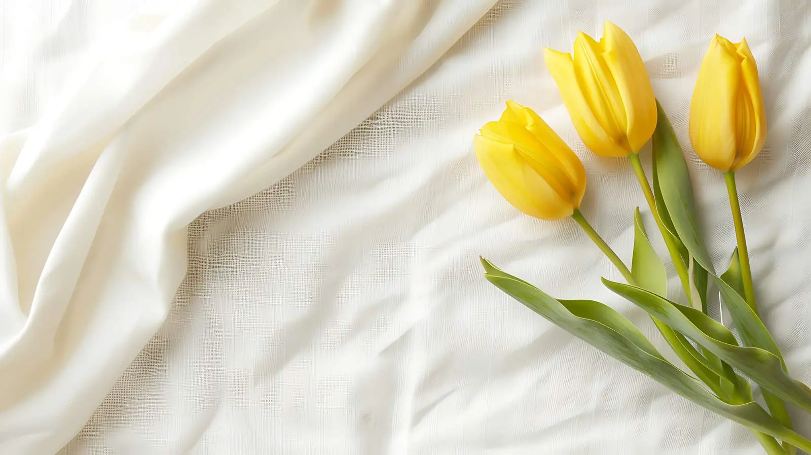 Blank Invitation Cards with Sunlight Background – free creative designs image from Dotvec