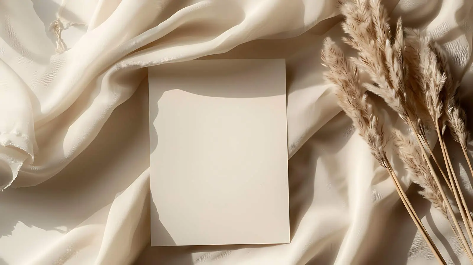 Blank Invitation Cards with Sunlight Shadow – free digital downloads image from Dotvec