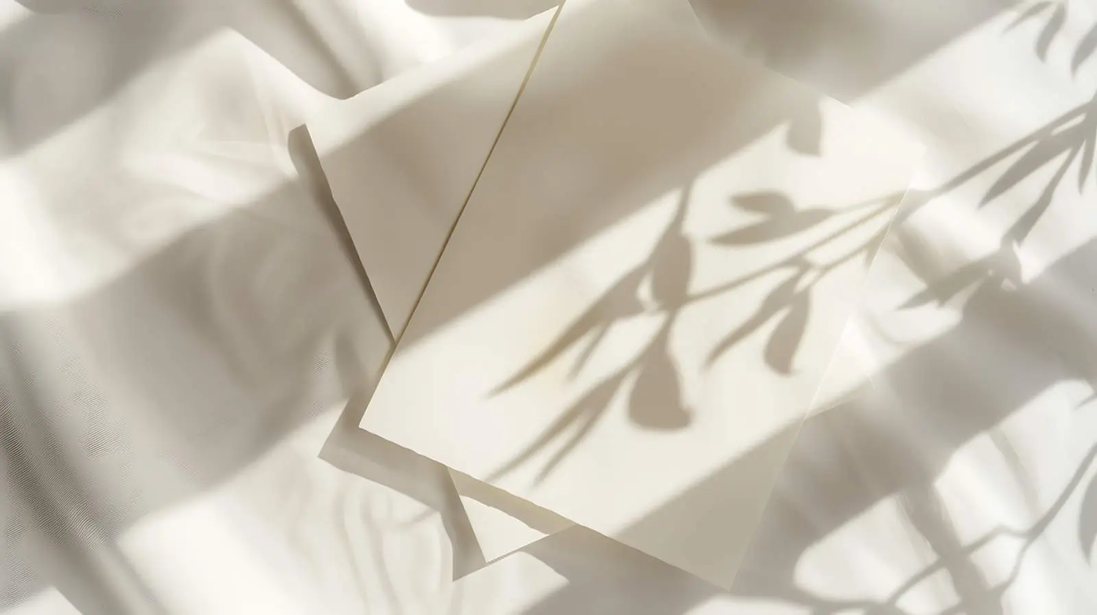 Blank Invitation Cards with Sunlight Shadow — free download from Dotvec