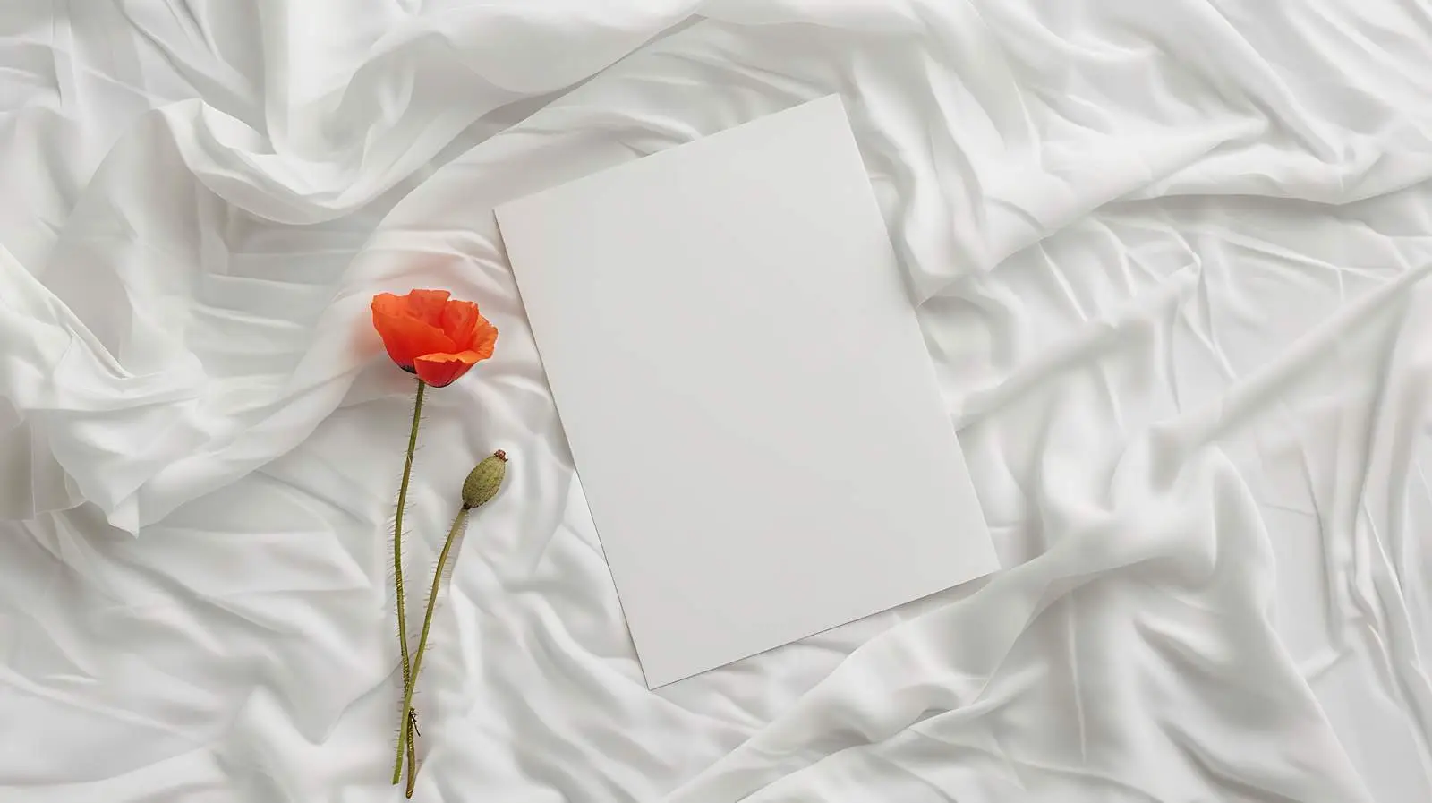 Blank Card with Mockup Space and Dry Poppy — free download from Dotvec