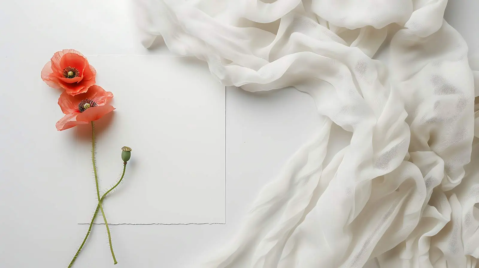 Blank Card Mockup with Dry Poppy Fragments – free stylish card image from Dotvec