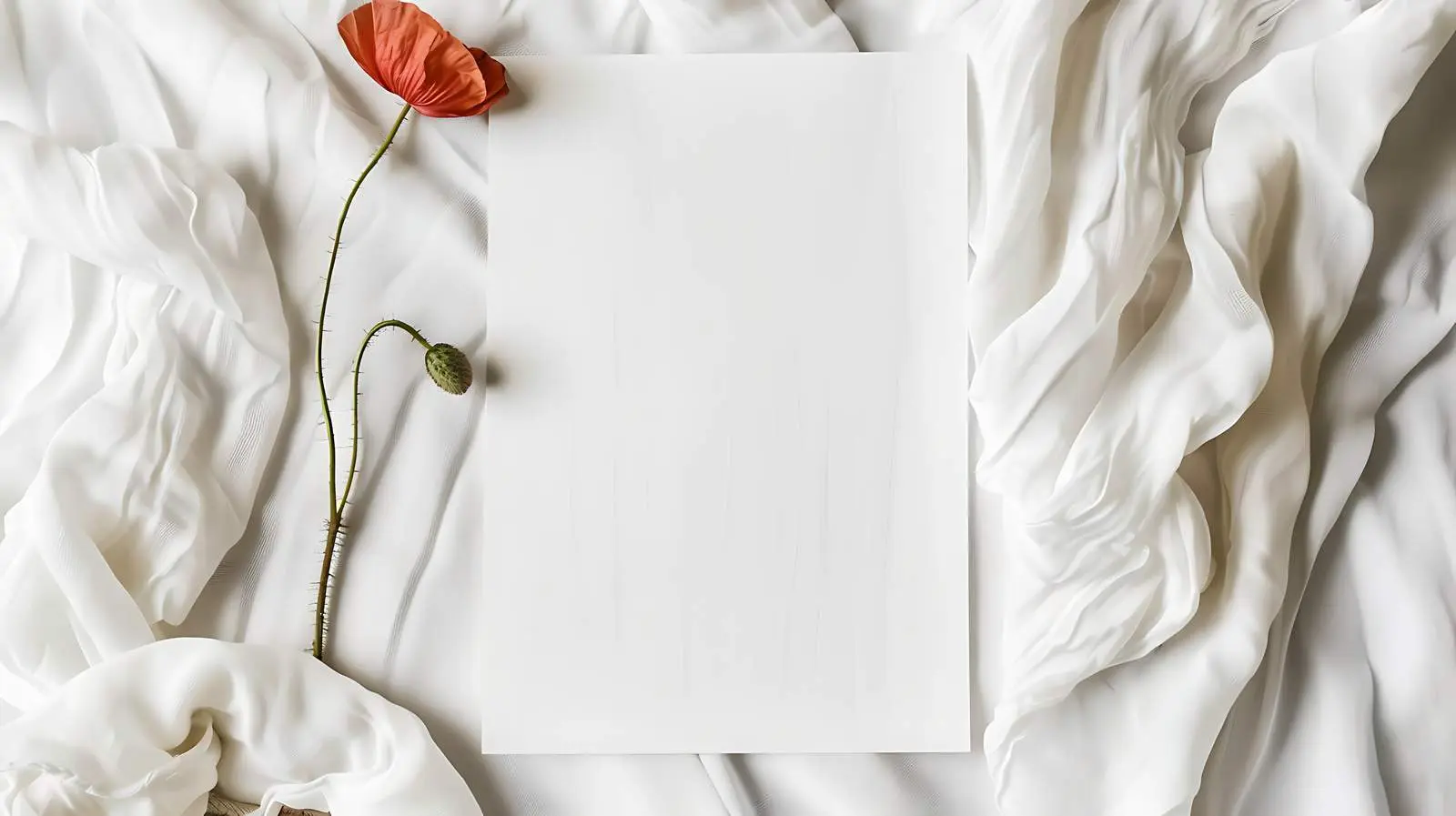 Blank Paper Sheet Card with Poppy Mockup — free download from Dotvec