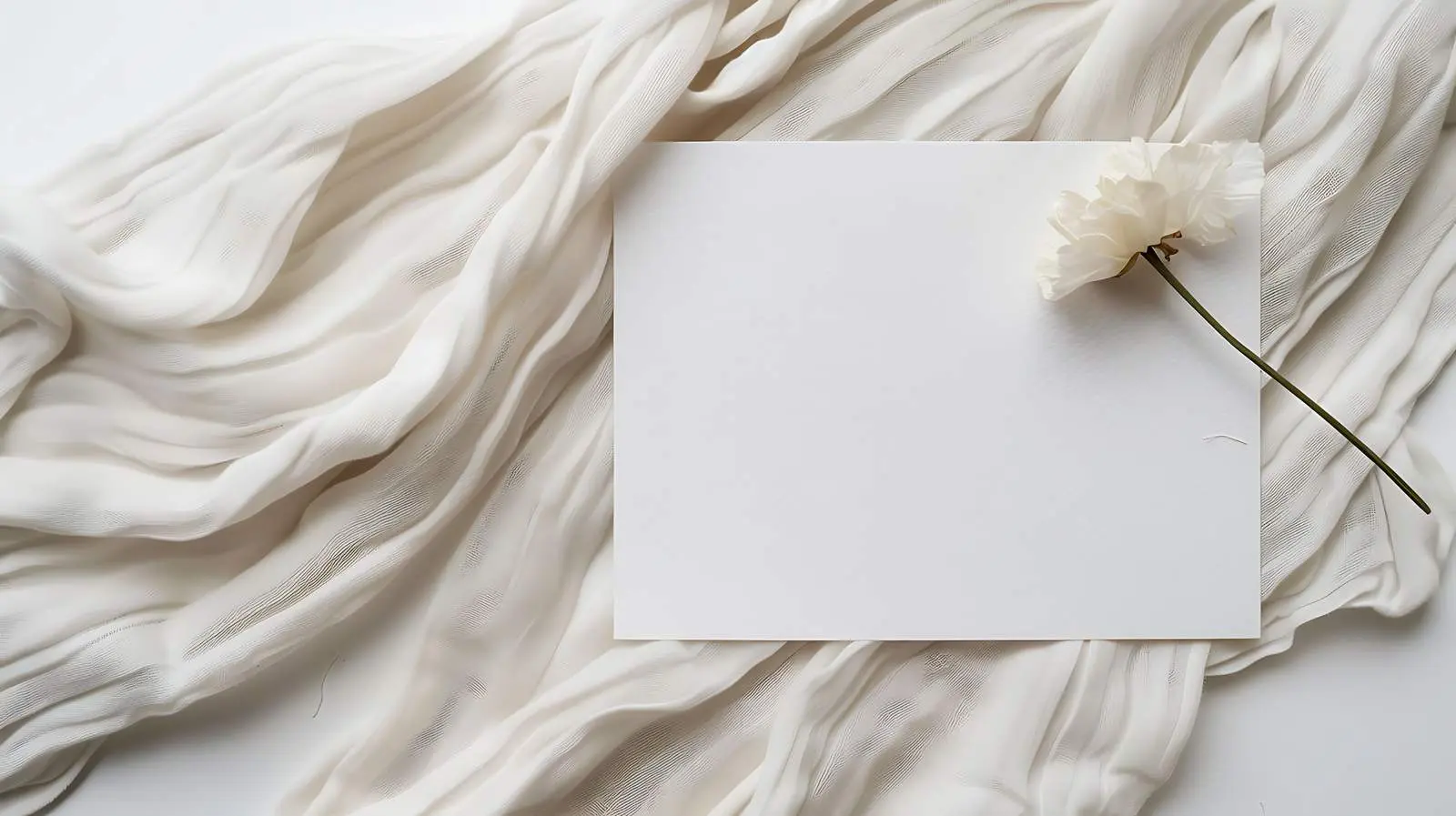 Blank Card Mockup with Dry Poppy Flowers — free download from Dotvec
