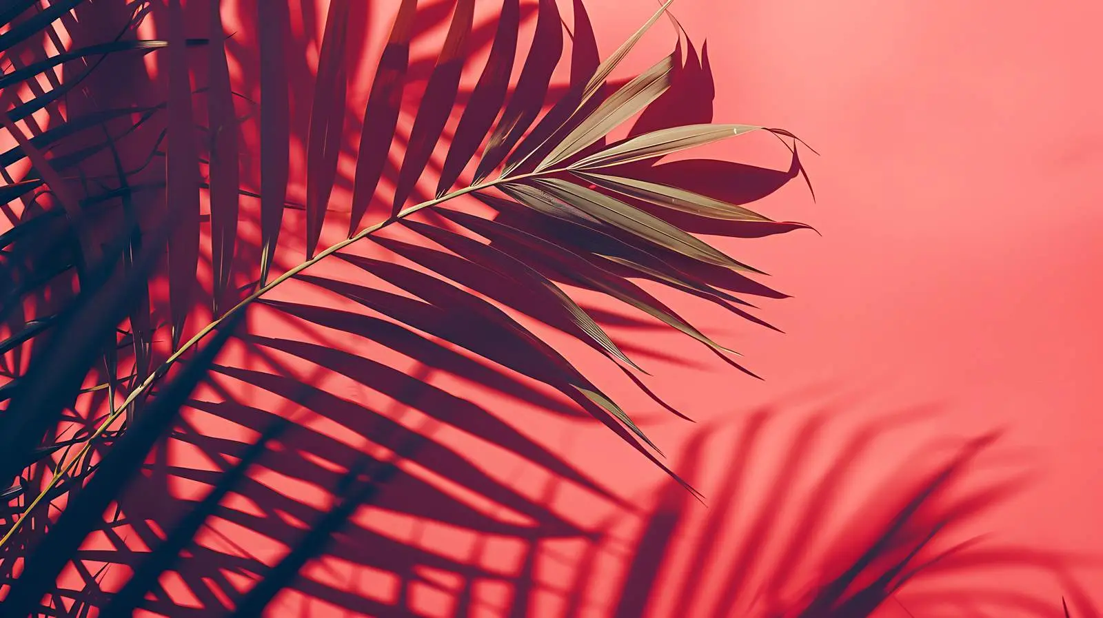 Crimson Red Blank Paper Sheet Mockup — free download from Dotvec