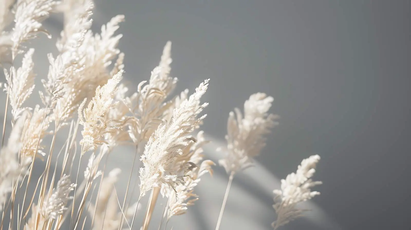 Blank Paper Sheet Card Mockup on Dark Grey Background — free download from Dotvec