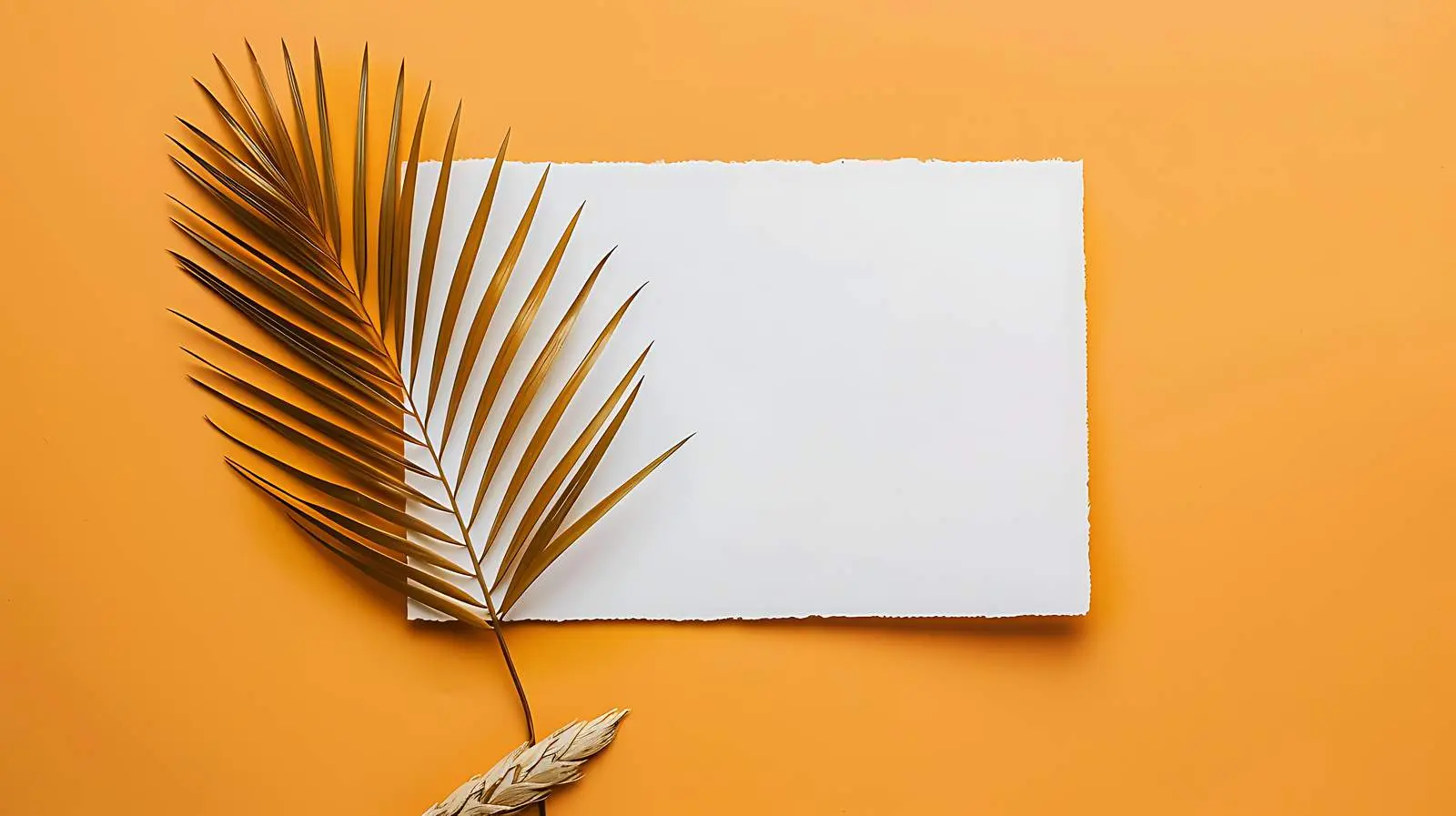 Blank Paper Sheet with Dried Palm Leaf Mockup — free download from Dotvec