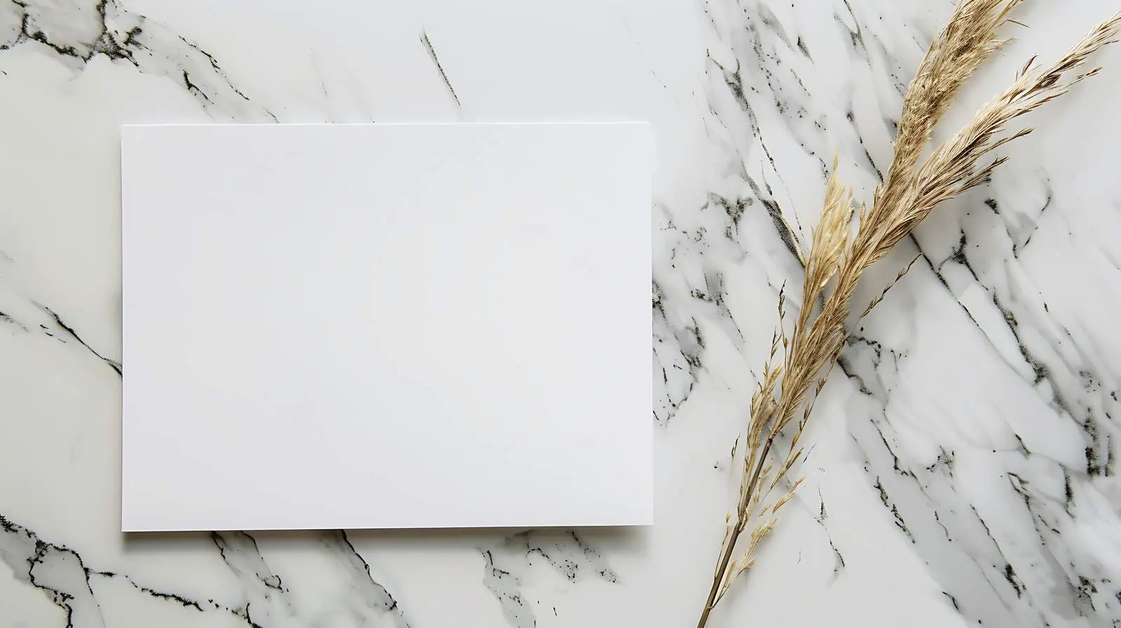 Blank Paper Sheet with Dried Palm Leaf — free download from Dotvec