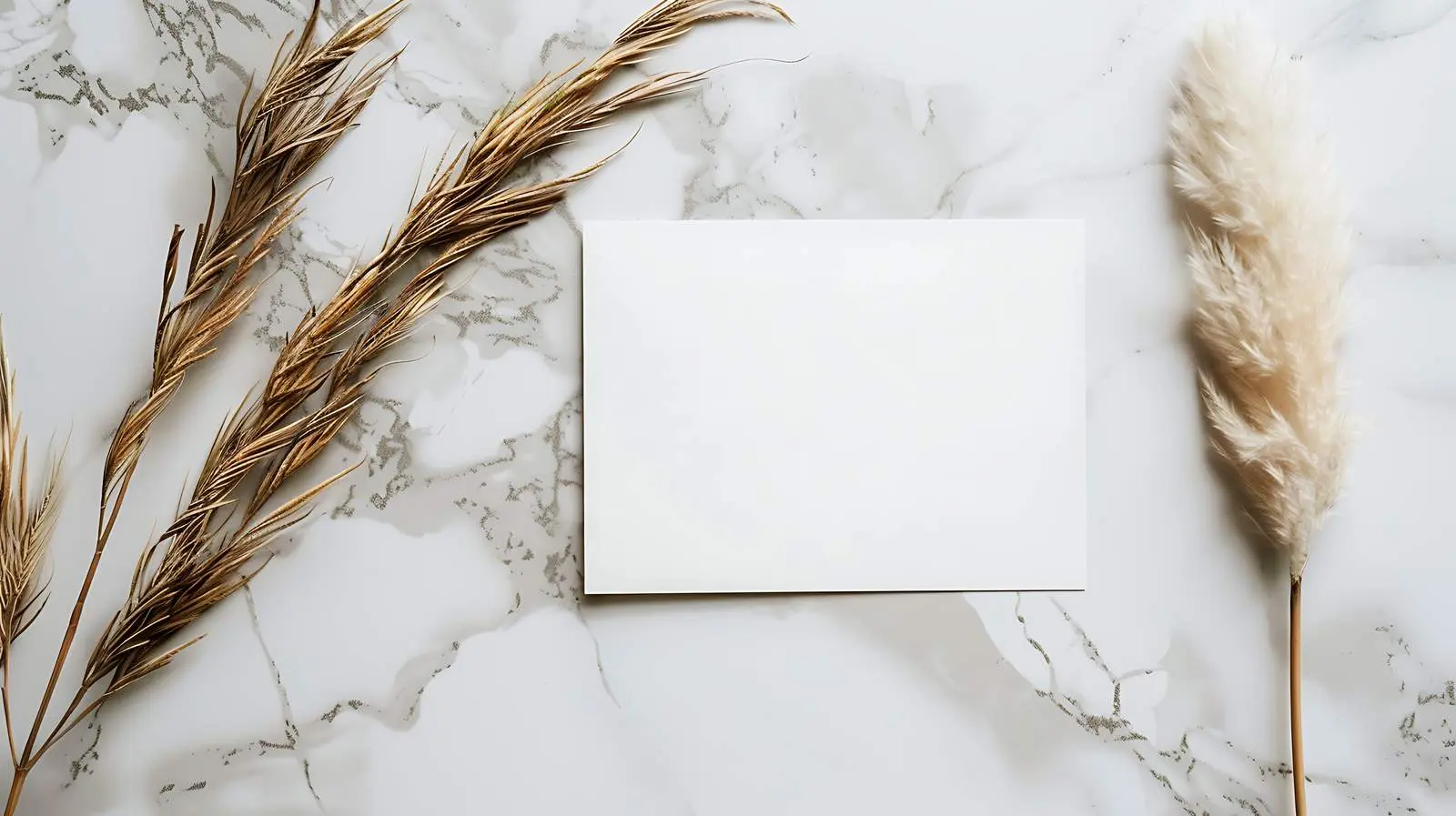 Blank Card Mockup with Dried Palm Leaf — free download from Dotvec