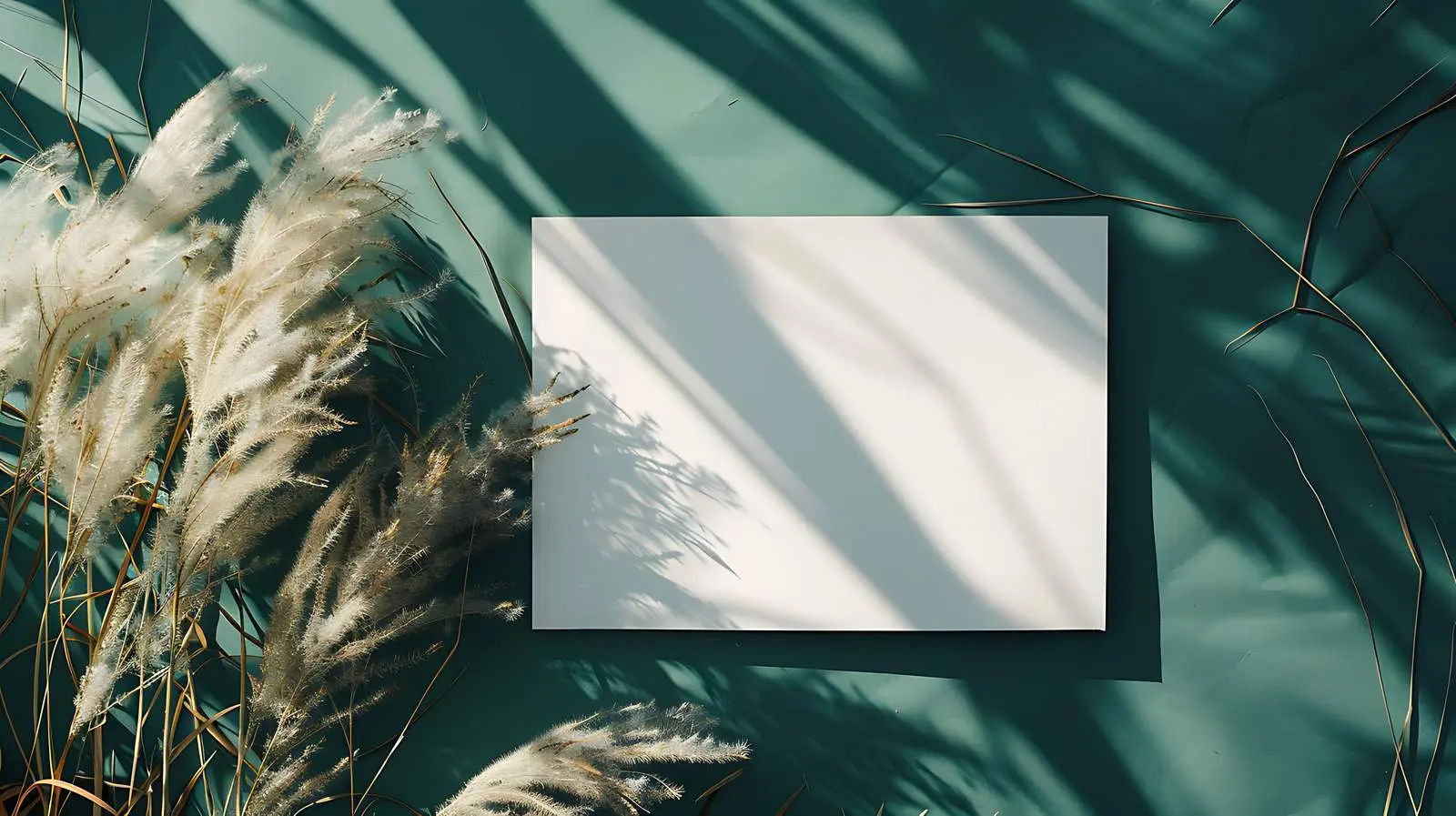 Blank Paper Sheet Card with Pampas Grass — free download from Dotvec