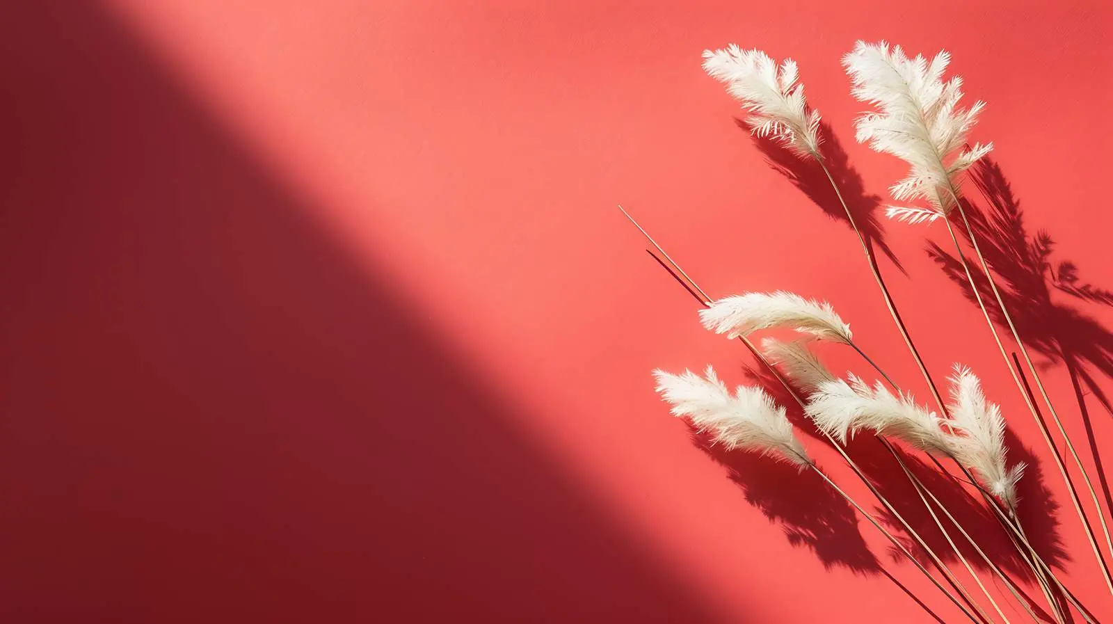 Blank Card Mockup with Floral Accents — free download from Dotvec