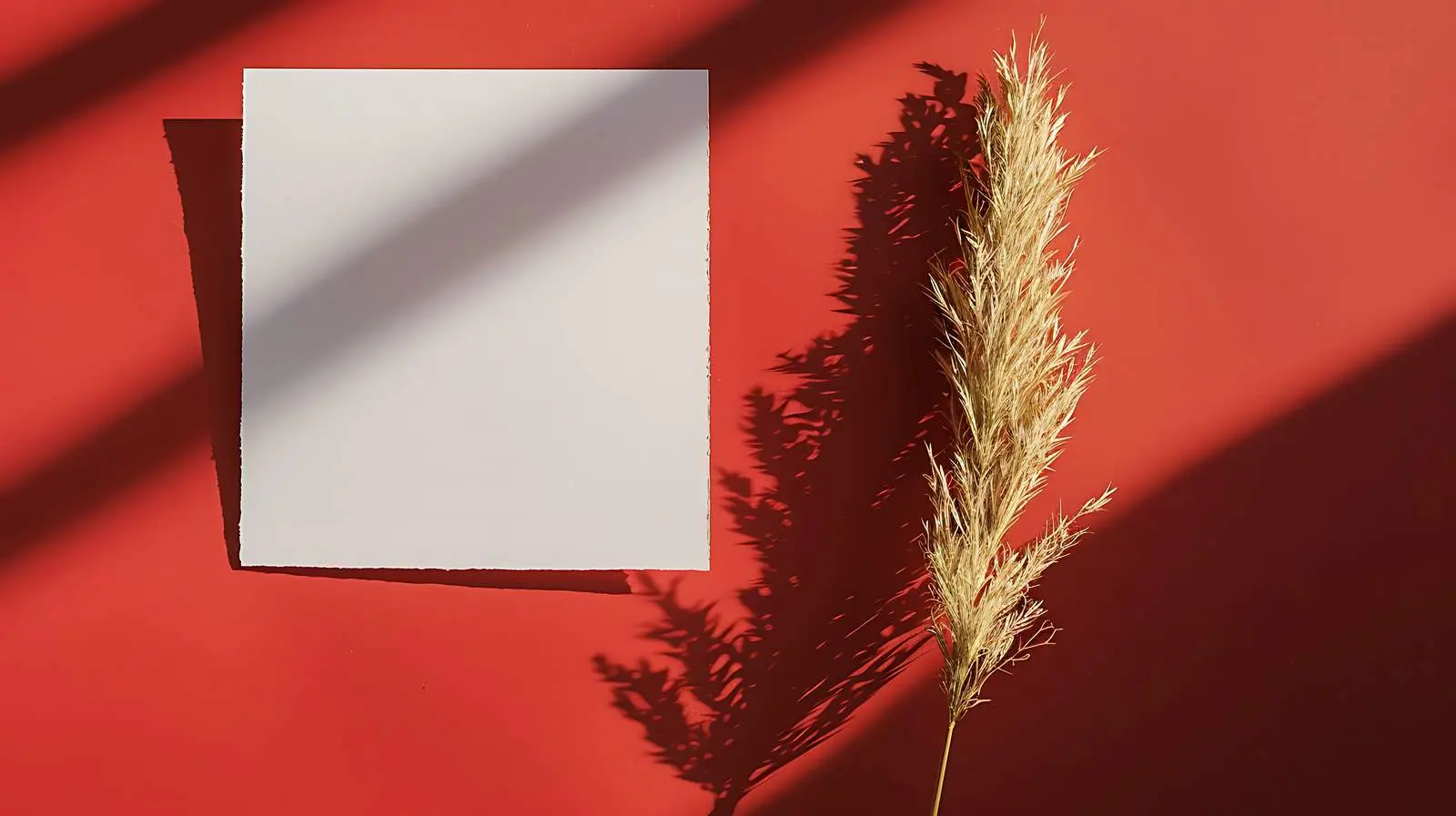 Blank Card with Floral Mockup Template — free download from Dotvec