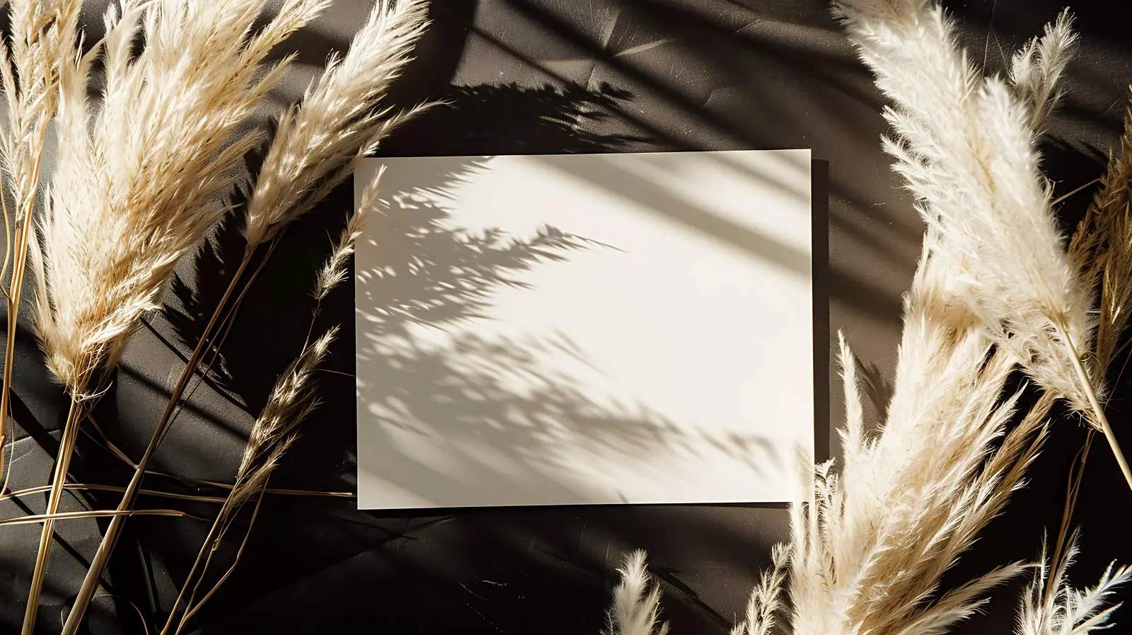 Blank Paper Sheet Card with Copy Space — free download from Dotvec