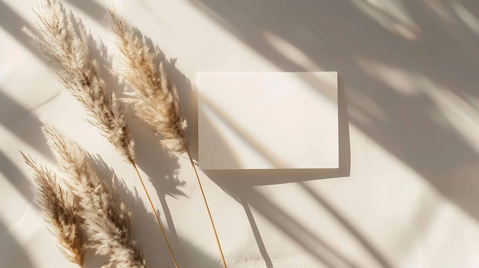 Blank Card with Rabbit Mockup Space — free download from Dotvec