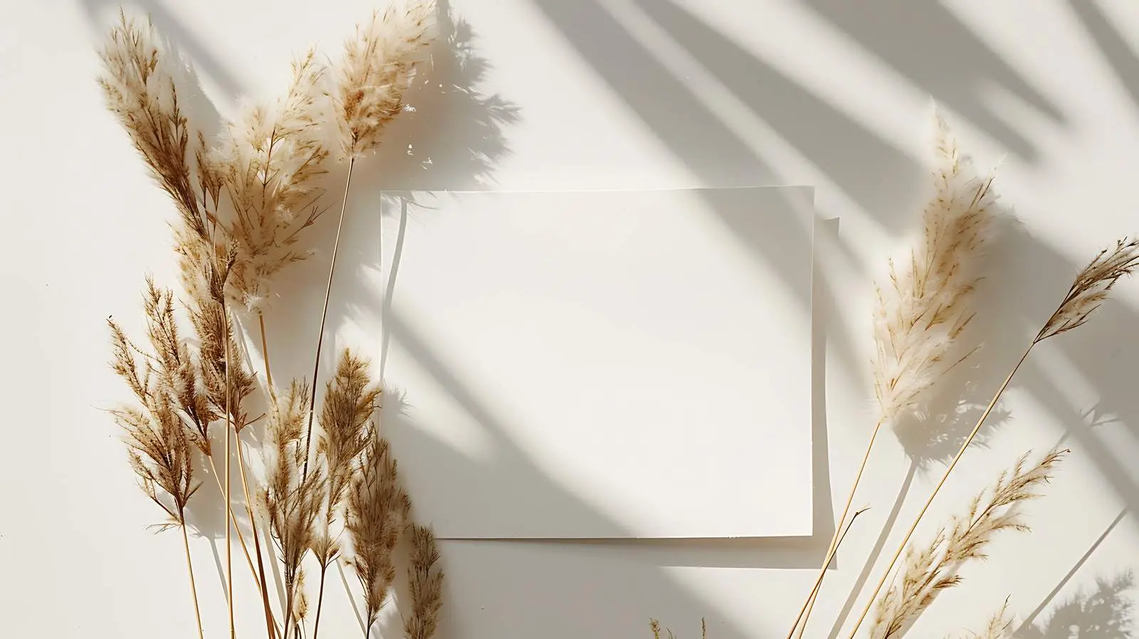 Blank Paper Sheet Card with Fluffy Rabbit – free childrens art image from Dotvec