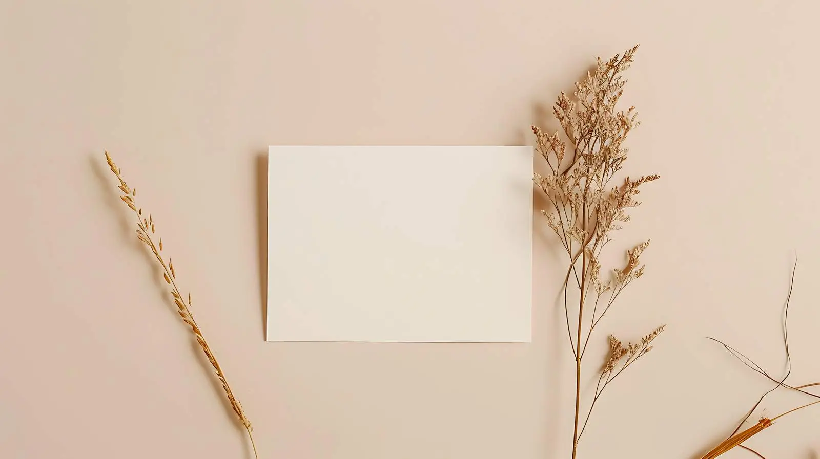Blank Paper Sheet Mockup on Ginger Background — free download from Dotvec