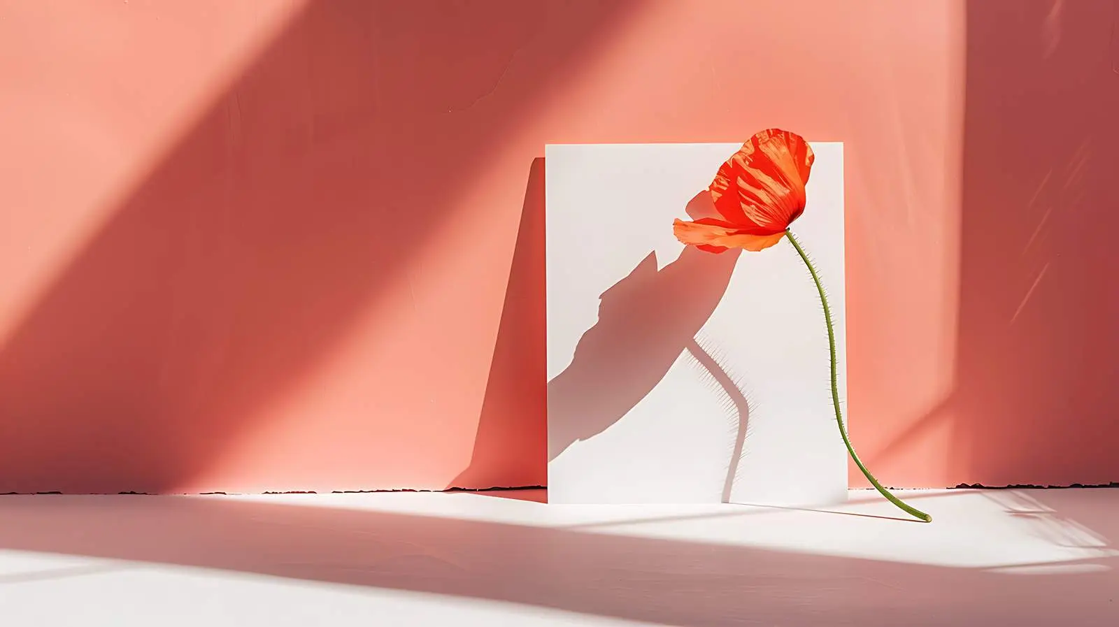 Blank Card with Poppy Flower Mockup – free flower background image from Dotvec