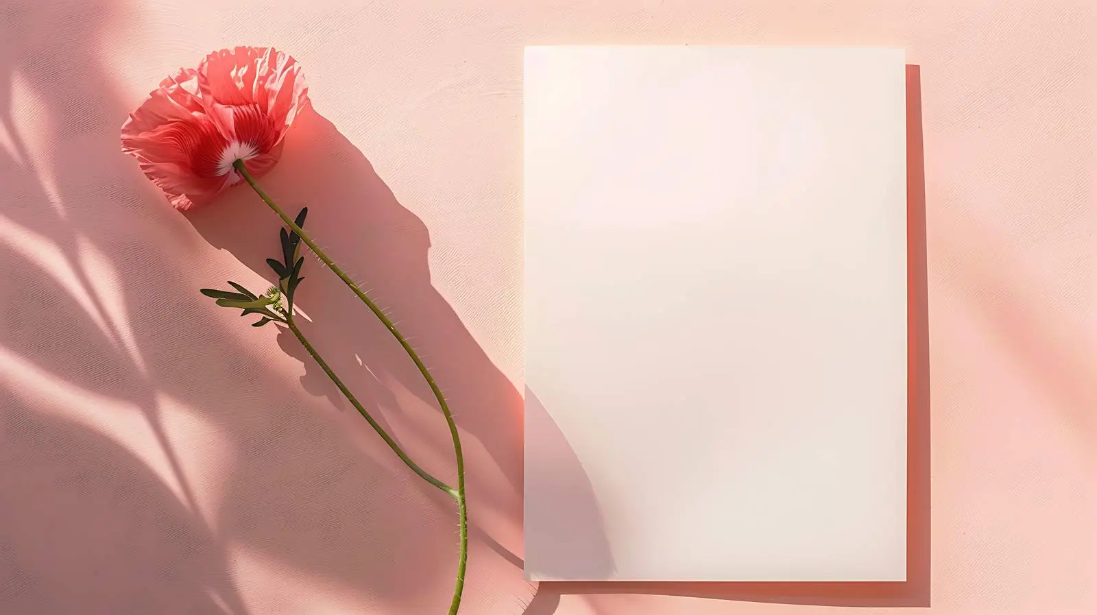 Blank Card with Poppy Flower Mockup – free asset image from Dotvec