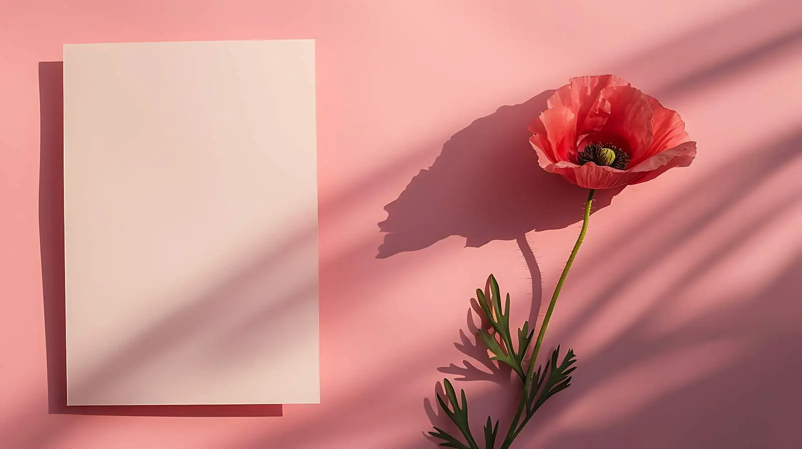Blank Card with Poppy Flower Mockup – free branding mockup image from Dotvec