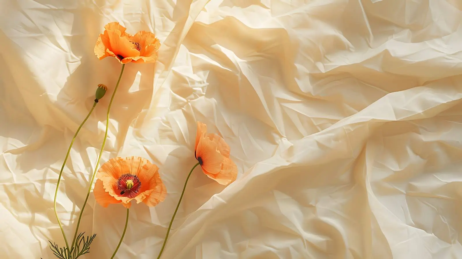 Blank Card with Poppy Flower Mockup — free download from Dotvec