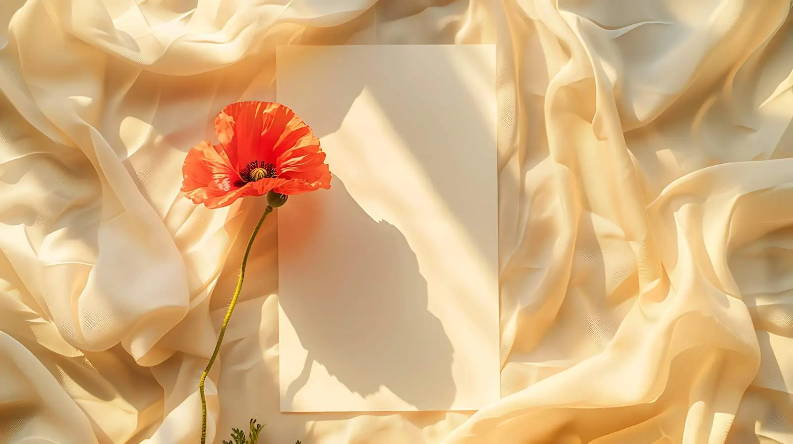 Blank Card with Poppy Flower Mockup — free download from Dotvec