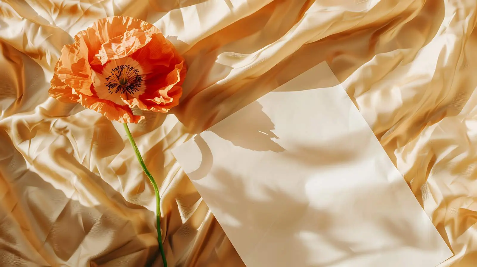 Blank Card with Poppy Flower Mockup — free download from Dotvec