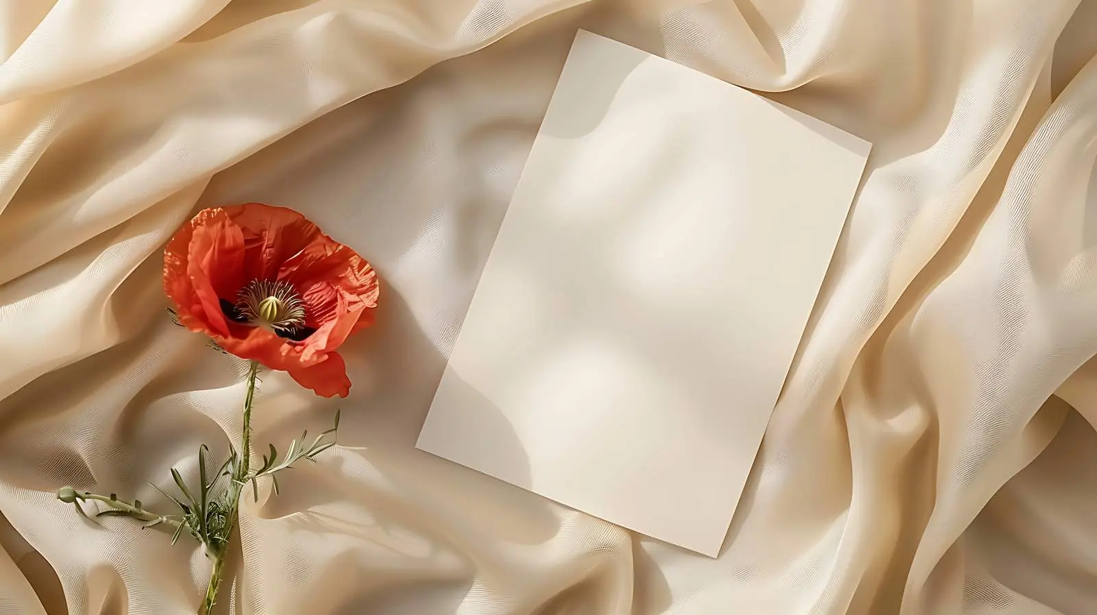 Blank Card with Poppy Flower Mockup — free download from Dotvec
