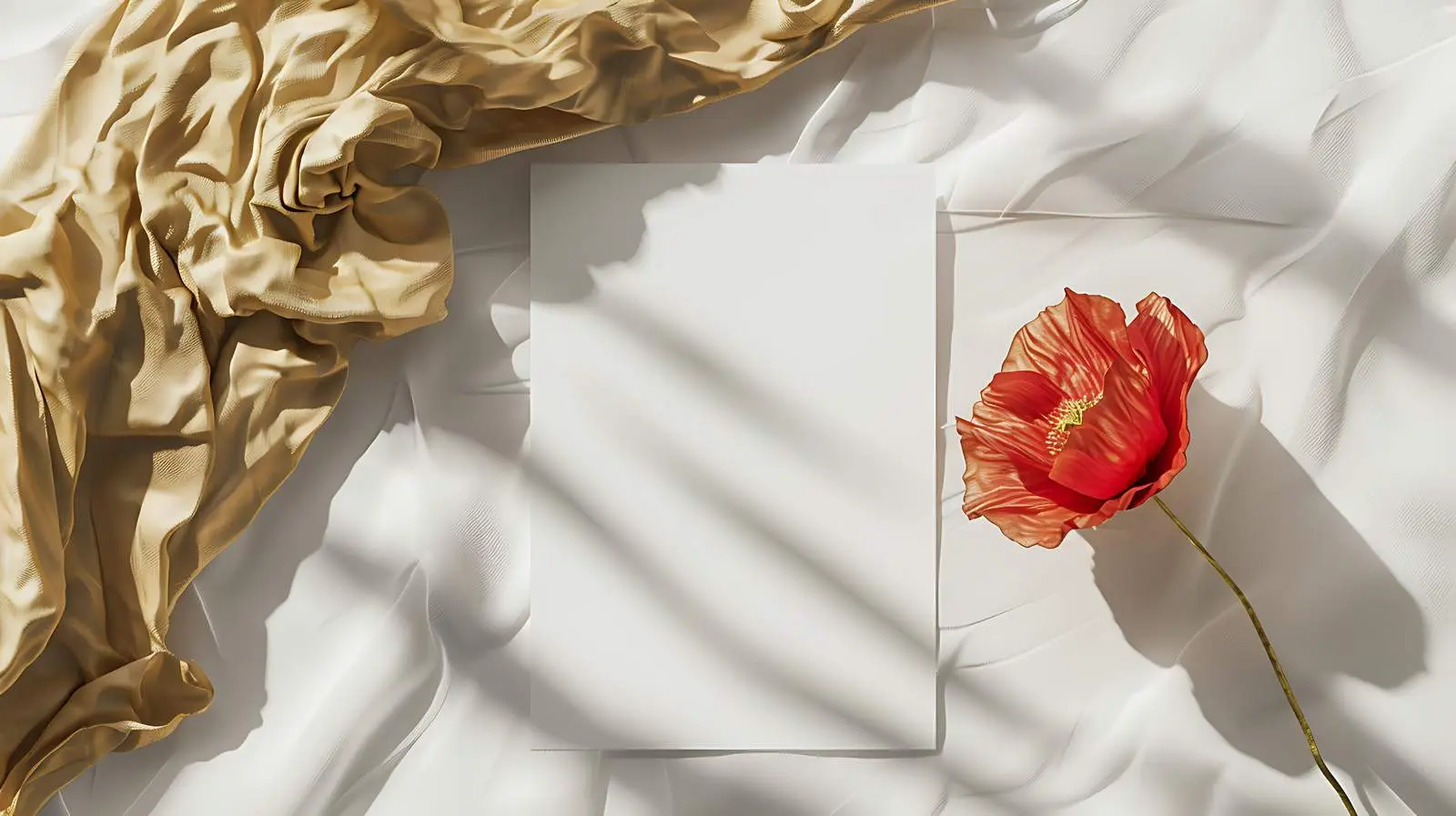 Blank Card Template with Rattan Casket – free pose image from Dotvec