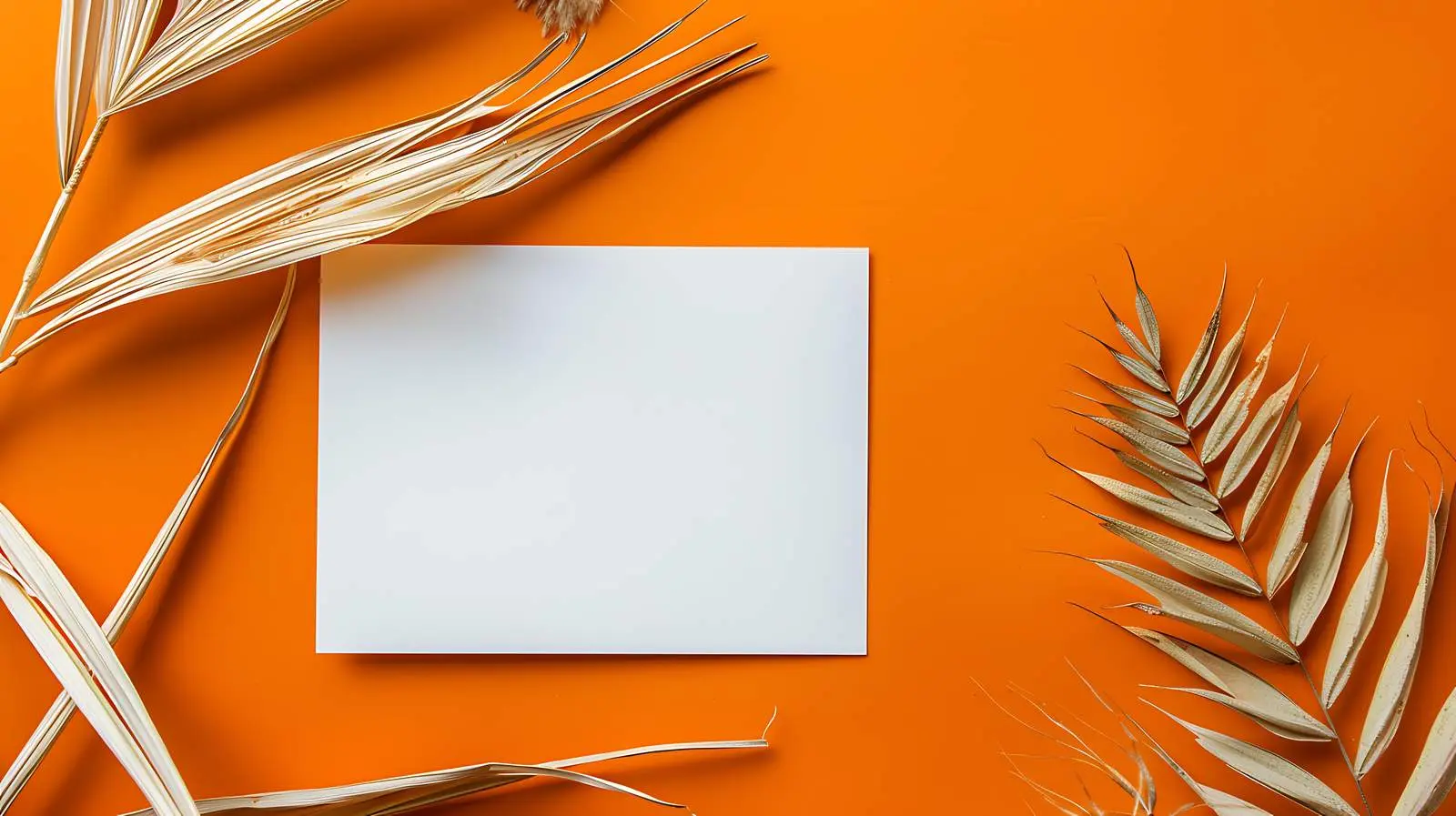 Blank Red Paper Sheet Mockup for Design – free image placeholder image from Dotvec