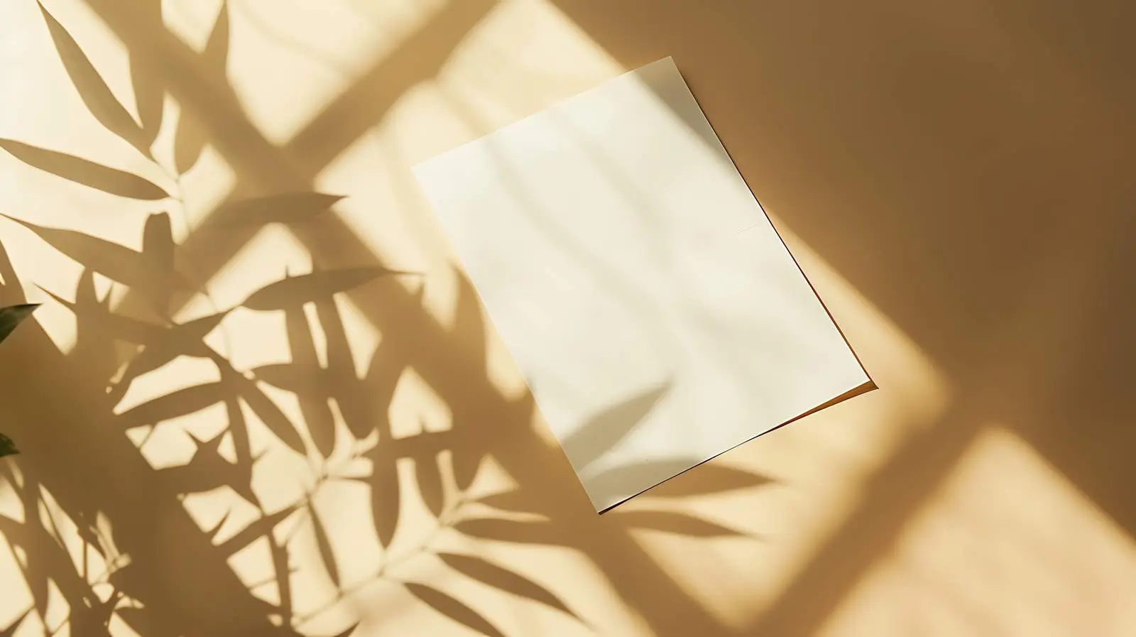 Blank Paper Sheet Card with Mockup and Glass — free download from Dotvec