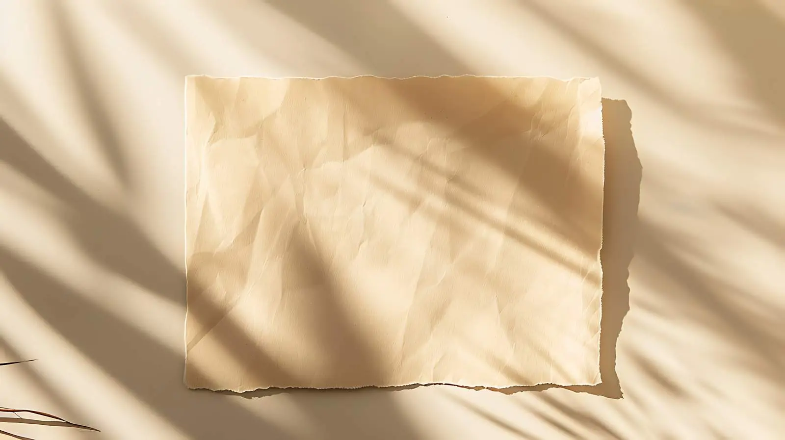 Blank Paper Sheet Card with Glass and Sunlight — free download from Dotvec