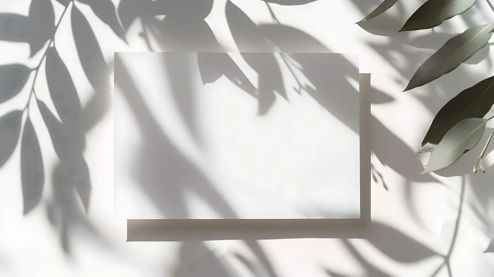 Blank Paper Sheet Cards Mockup with Copy Space – free branding mockup image from Dotvec