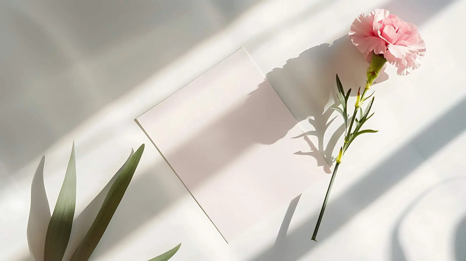 Blank Paper Sheet Cards Mockup with Yellow Accent — free download from Dotvec