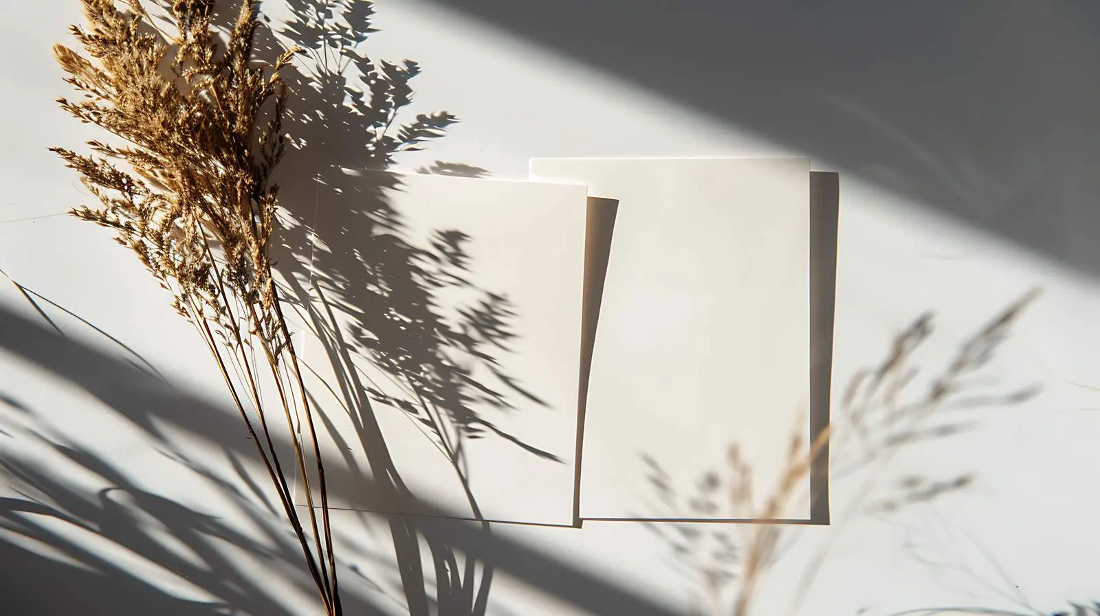 Blank Paper Cards with Dried Grass Mockup – free vector image from Dotvec