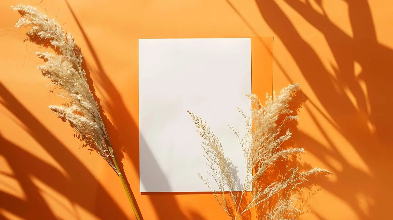 Blank Paper Cards with Dry Flower Mockup — free download from Dotvec