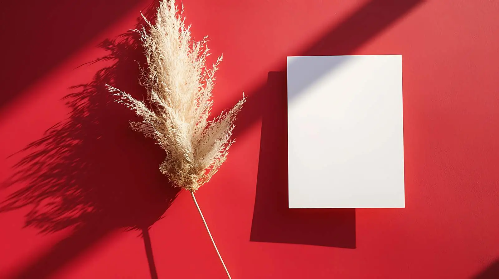 Blank Paper Sheet Cards with Copy Space – free visual mockup image from Dotvec