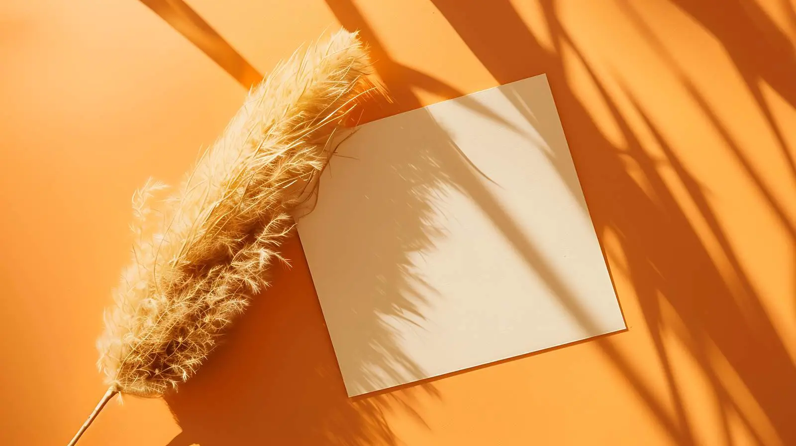 Blank Paper Sheet Mockup with Fluffy Bunny — free download from Dotvec