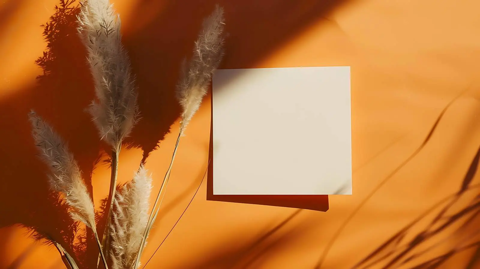 Blank Paper Cards and Fluffy Bunny Mockup — free download from Dotvec