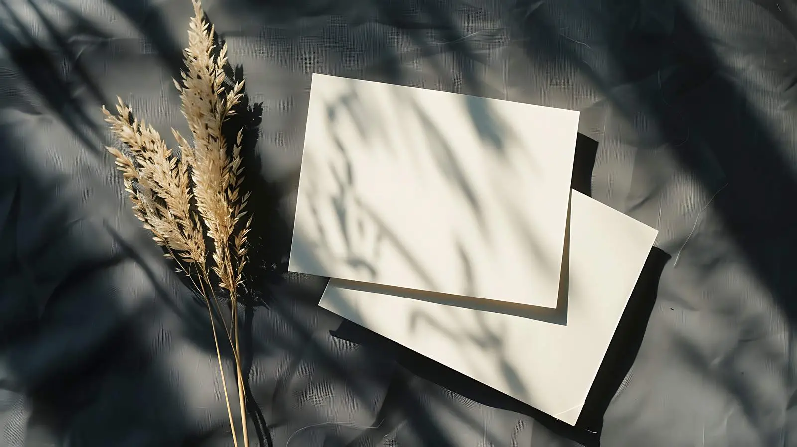 Blank Paper Card Mockup with Dry Grass – free design ideas image from Dotvec