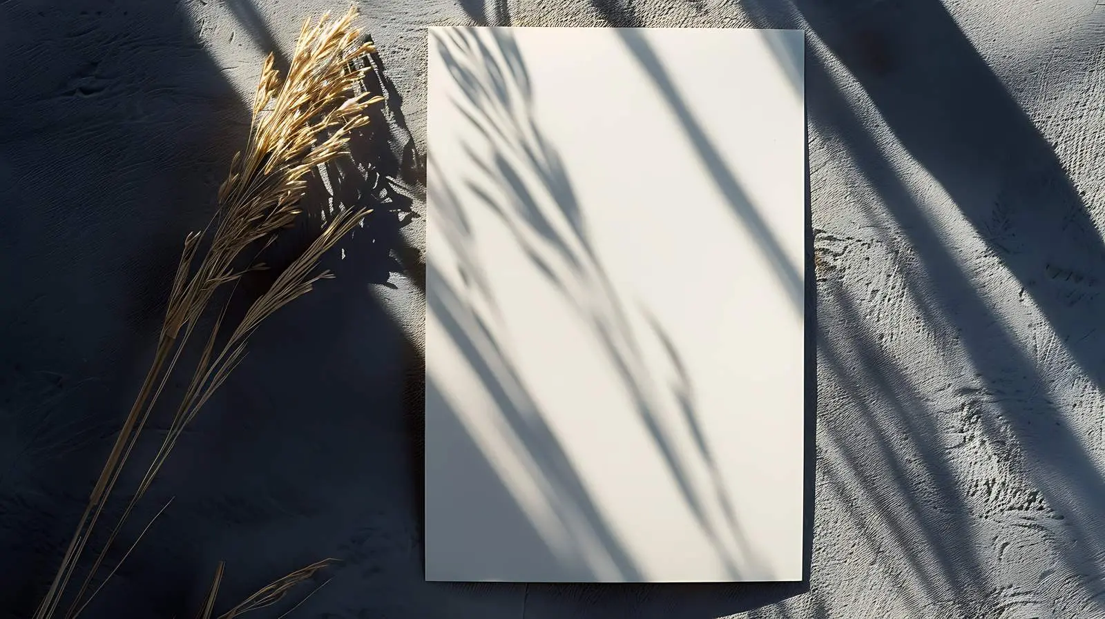 Blank Paper Sheet Card with Mockup Space — free download from Dotvec