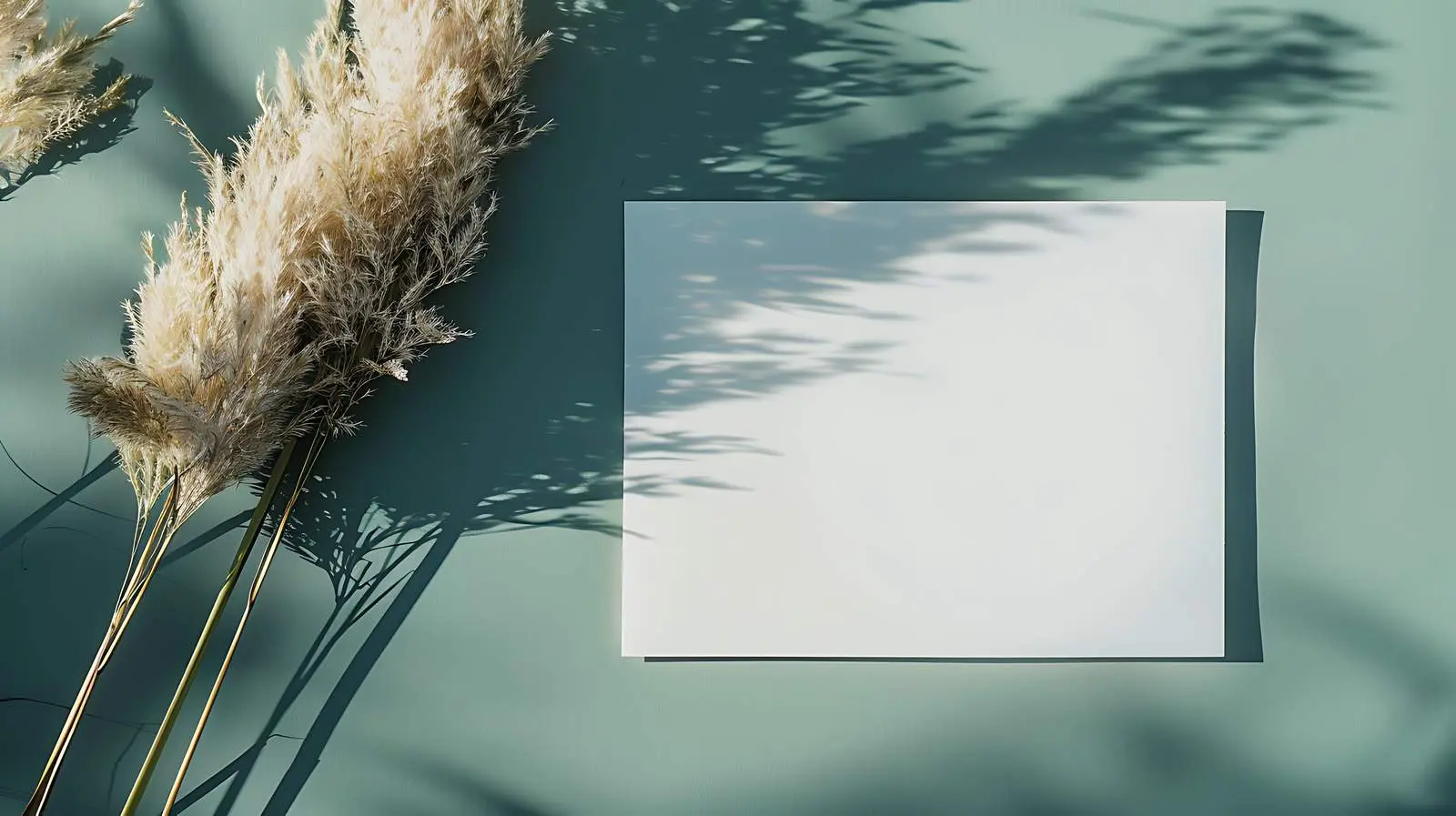 Blank Paper Sheet Cards with Pampas Mockup — free download from Dotvec