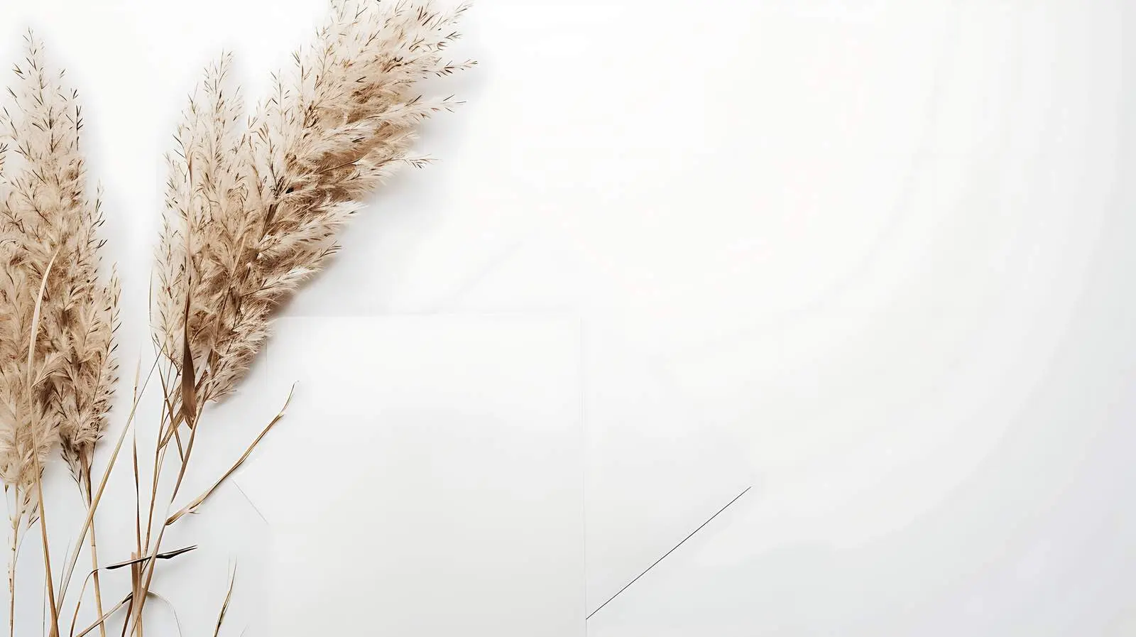 Blank Paper Sheet Mockup with Pampas Grass — free download from Dotvec