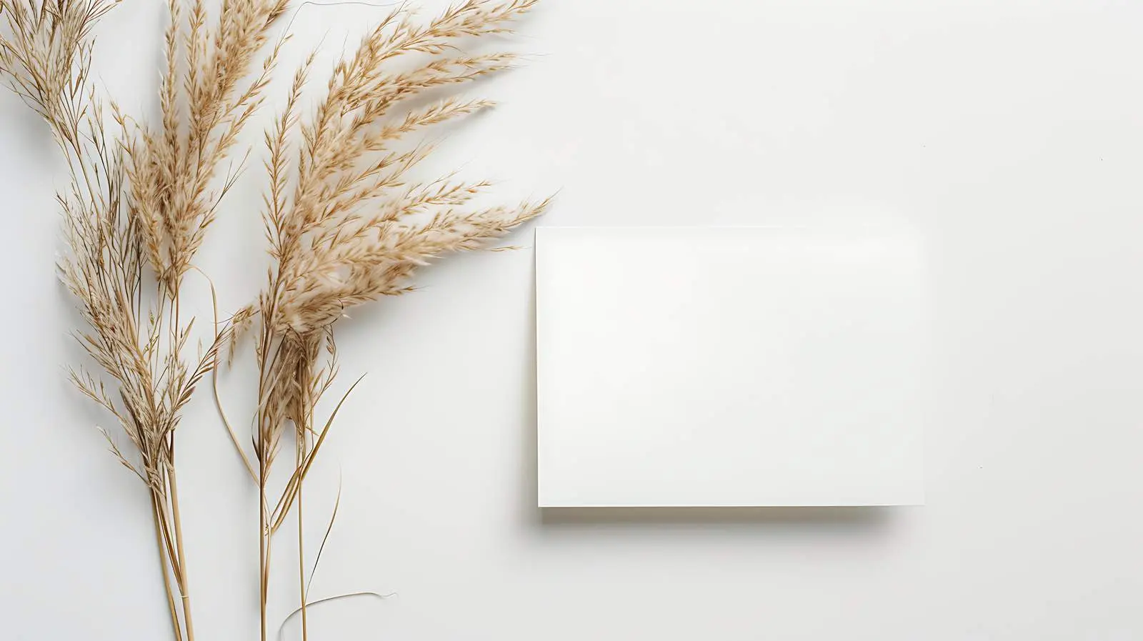 Blank Paper Cards Mockup with Pampas Grass — free download from Dotvec