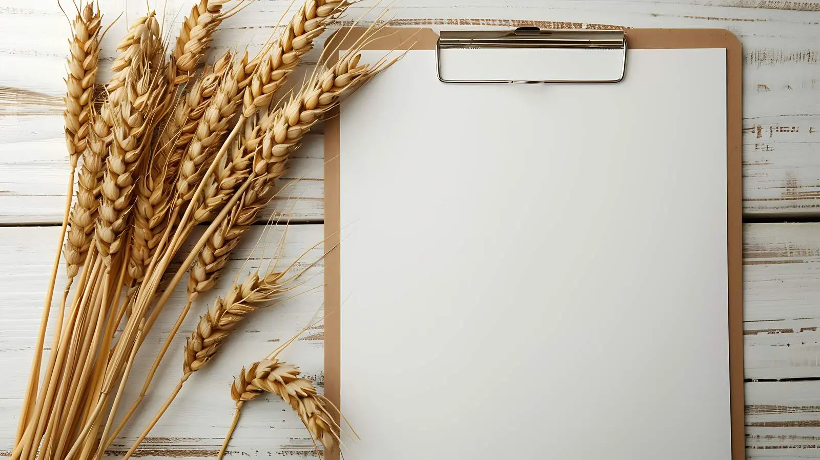 Blank Paper Sheet on Clipboard Mockup — free download from Dotvec