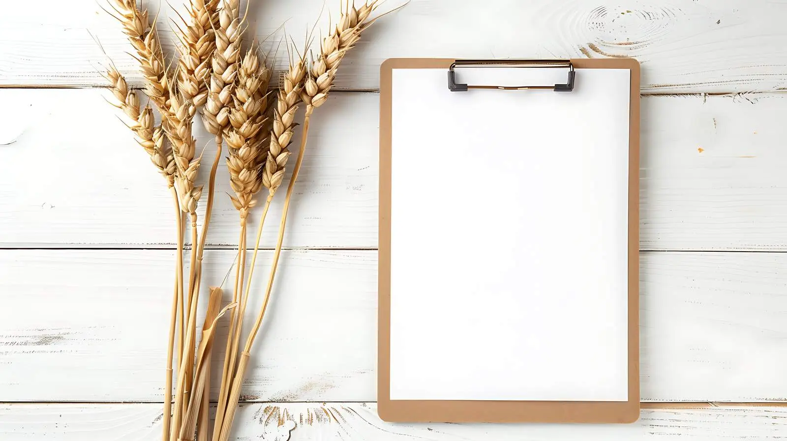 Blank Paper Sheet on Clipboard with Copy Space — free download from Dotvec