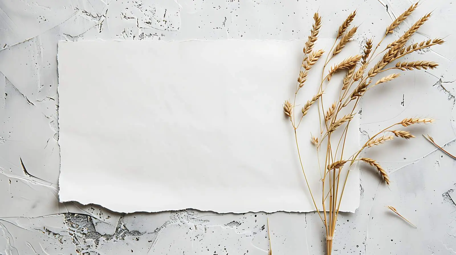 Blank Paper Sheet with Straw Mockup — free download from Dotvec